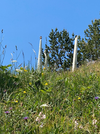 Stanserhorn Ausstellung
