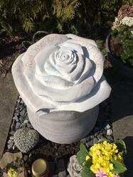 Grabstein Rose: Palissandro