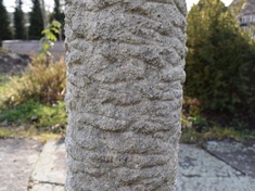 Muschelkalk Kegel GS17