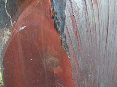 Punta Fuoco GS3
